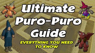 Puro Puro Guide Everything you need to know 2021  OSRS [upl. by Ingaborg]