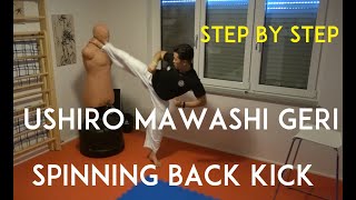 USHIRO MAWASHI GERI  spinning back kick  TEAM KI [upl. by Akimot]