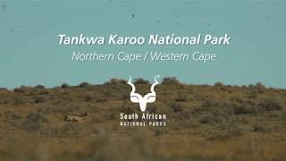 Tankwa Karoo National Park [upl. by Seward]