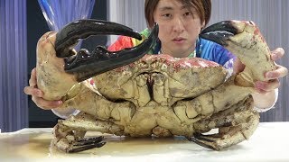 1匹17万円！世界最大のカニ『タスマニアキングクラブ』をさばいて食べてみた！WORLDS BIGGEST 1700 CRAB [upl. by Maible]