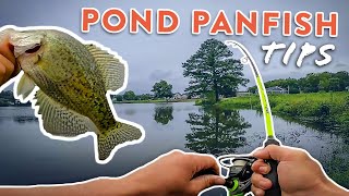 Pond Fishing Tips To Catch More Crappie Bluegill and More [upl. by Isteb]