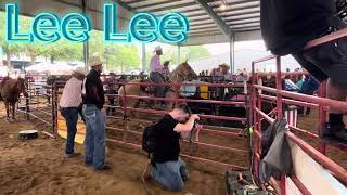 Bill Pickett Invitational Rodeo AtlantaGeorgia [upl. by Hsinam690]