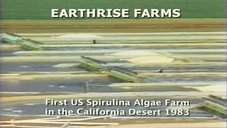 First Commercial Spirulina Farm in California • 1983 [upl. by Kunz]