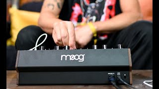 Moog DFAM  Percussion Synth Techniques with Baseck [upl. by Marvin]