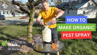 How To Make DIY Organic Pest Spray For Your Fruit Trees [upl. by Gibeon]