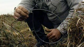 Old School How To Set Up A Snare Trapline For Foxes [upl. by Pierette]