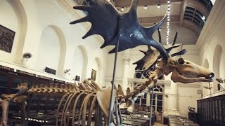 INDIAN MUSEUM KOLKATA TOUR INDIAs LARGEST amp OLDEST museum of india Exploring full museum 2017 [upl. by Ertnod159]