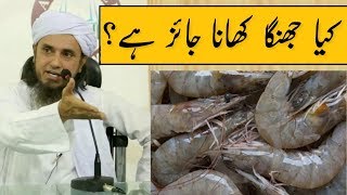 Kya Jhinga Prawns Khana Jaiz Hai Mufti Tariq Masood  Islamic Group [upl. by Bergeron355]