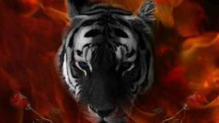 EYE OF TIGER REMIX [upl. by Shaff]