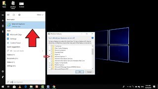 How to Fix Internet Explorer is Missing after Updating Windows 10 [upl. by Eiramyllek510]