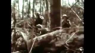 Vietnam War Documentary History Channel America Enters the War [upl. by Bick]