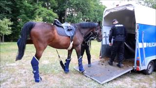 Policja konna w Świnoujściu [upl. by Ander]