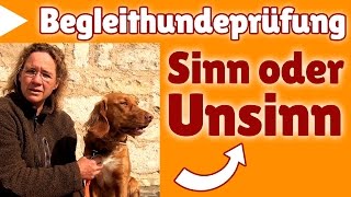 Begleithundeprüfung ►► Stephanie spricht über die Begleithundeprüfung [upl. by Atalaya]