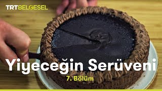 Yiyeceğin Serüveni  Şeker  TRT Belgesel [upl. by Yart]