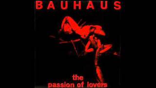 BAUHAUS  The Passion of Lovers [upl. by Atsirhc58]