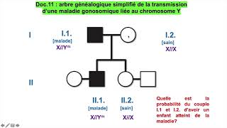 vidéo 4 sur le chapitre 82 lhérédité humaine la transmission des caractères héréditaires [upl. by Maillliw]