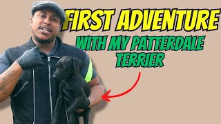 My Patterdale Terriers First Walk 🤯 [upl. by Pauli]