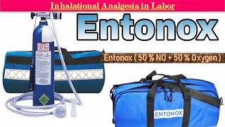 Inhalational Anesthesia  Entonox Anesthesia in Labour [upl. by Ettigirb]