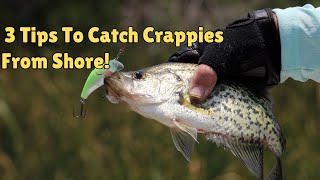 3 Crappie Fishing Tips to Catch More Crappie from the Shore [upl. by Leafar]