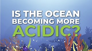 Ocean acidification [upl. by Schnurr]