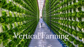 CANAgri – Vertical Farming Amazing Modern Farming Technology [upl. by Ddene514]