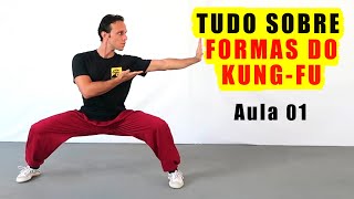 TUDO SOBRE AS FORMAS DO KUNG FU  TAOLU  KATI   AULA 1 [upl. by Jenilee]