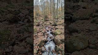 Beautiful place in nature ardennen belgium hiking adventure [upl. by Webster]