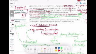 Apoptosis  perforin and granzyme B Pathology 9 First Aid USMLE Step 1 in UrduHindi [upl. by Tnarg]