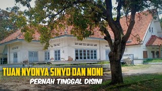 KONDISI TERKINI‼️BERJEJER RUMAH BELANDA TEXIN TEGAL [upl. by Patsy]