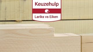 Lariks Douglas hout of Eikenhout kiezen De verschillen [upl. by Nilauqcaj]