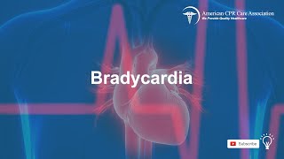 Chapter 14 Bradycardia  American CPR Care Association [upl. by Euk190]