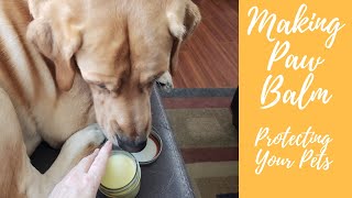 Making Paw Balm  Protection For Your Pets [upl. by Adnaval234]