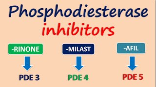 Phosphodiesterase inhibitors [upl. by Ahsotal]