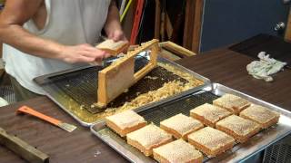 Cutting Comb Honey from the frames Honeybee Comb Honey [upl. by Ecyac]