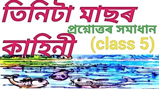 তিনিটা মাছৰ কাহিনীtinita masor kahiniclass 5 assamese lesson 10 SCERT [upl. by Nolram]