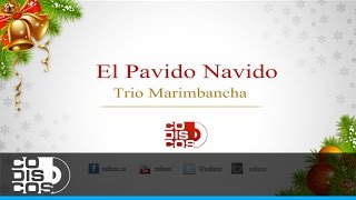 El Pavido Navido Trio Marimbancha  Audio [upl. by Ramaj796]