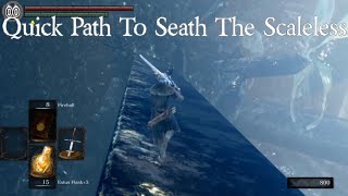 Quick Path To Seath The Scaleless  Dukes Archives amp Crystal Caves DARK SOULS REMASTERED [upl. by Darwen777]