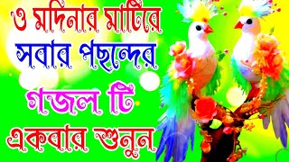 ও মদিনার মাটিরে নতুন গজল o modinar Mati re Shera gojol [upl. by Jamilla]