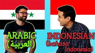 Similarities Between Arabic and Indonesian [upl. by Atnamas]