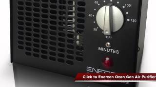 Enerzen Ozon Generator Air Purifier Review [upl. by Milks]