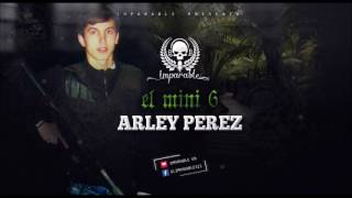 Arley Perez  El Mini 6 [upl. by Niras]