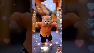 broooommmm  cat mycutecat7 dance funny edit catlover dance [upl. by Nauqram]