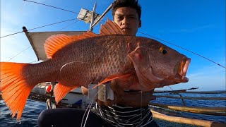 Traditional longline fishing in Palawan  Catch and Sell [upl. by Longawa]