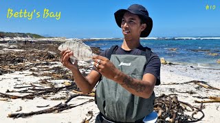 Fishing Bettys Bay SteenbrasWhite stumpnose [upl. by Geordie]