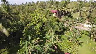 Indang Cavite Farm Lot For Sale [upl. by Howlond]