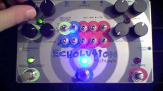 Pigtronix  Echolution  Modulated Delay [upl. by Mufinella]