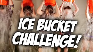 ALS Ice Bucket Challenge  Game Grumps [upl. by Hgielrebmik]