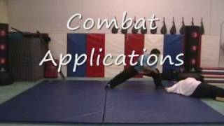 Chen Style Taijiquan Combat Applications Xie Xing [upl. by Dunston176]