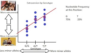 Linear and Logistic Regression  GenomeWide Association Studies GWAS Explained Simply Part 4 [upl. by Lurline]