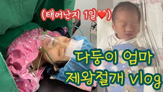 다둥이 엄마 제왕절개 출산 및 입원 vlog [upl. by Nevag]